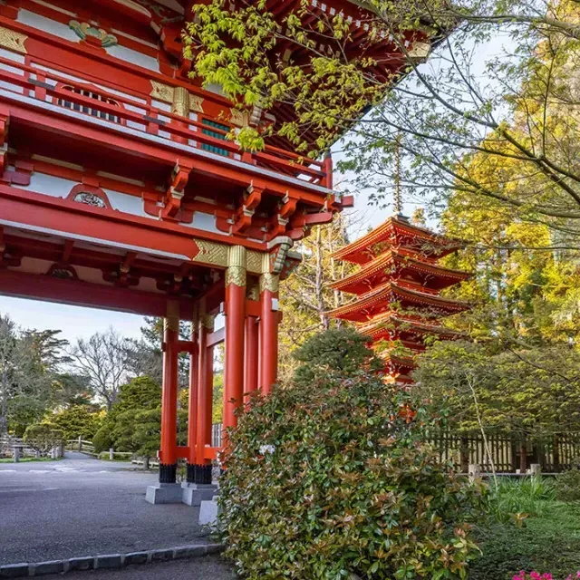 日本茶园寺